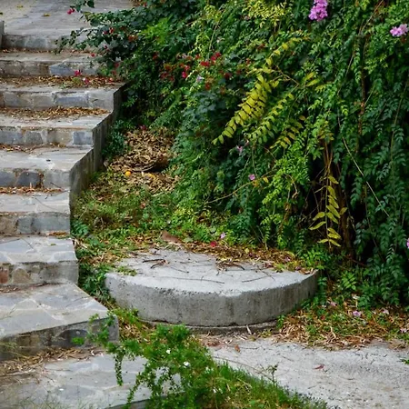 Bright 2br By Pedieos Park, Near Old Town Apartment